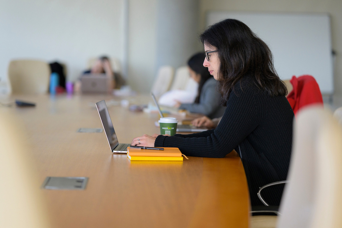 Faculty member on laptop during a summer faculty research workshop.