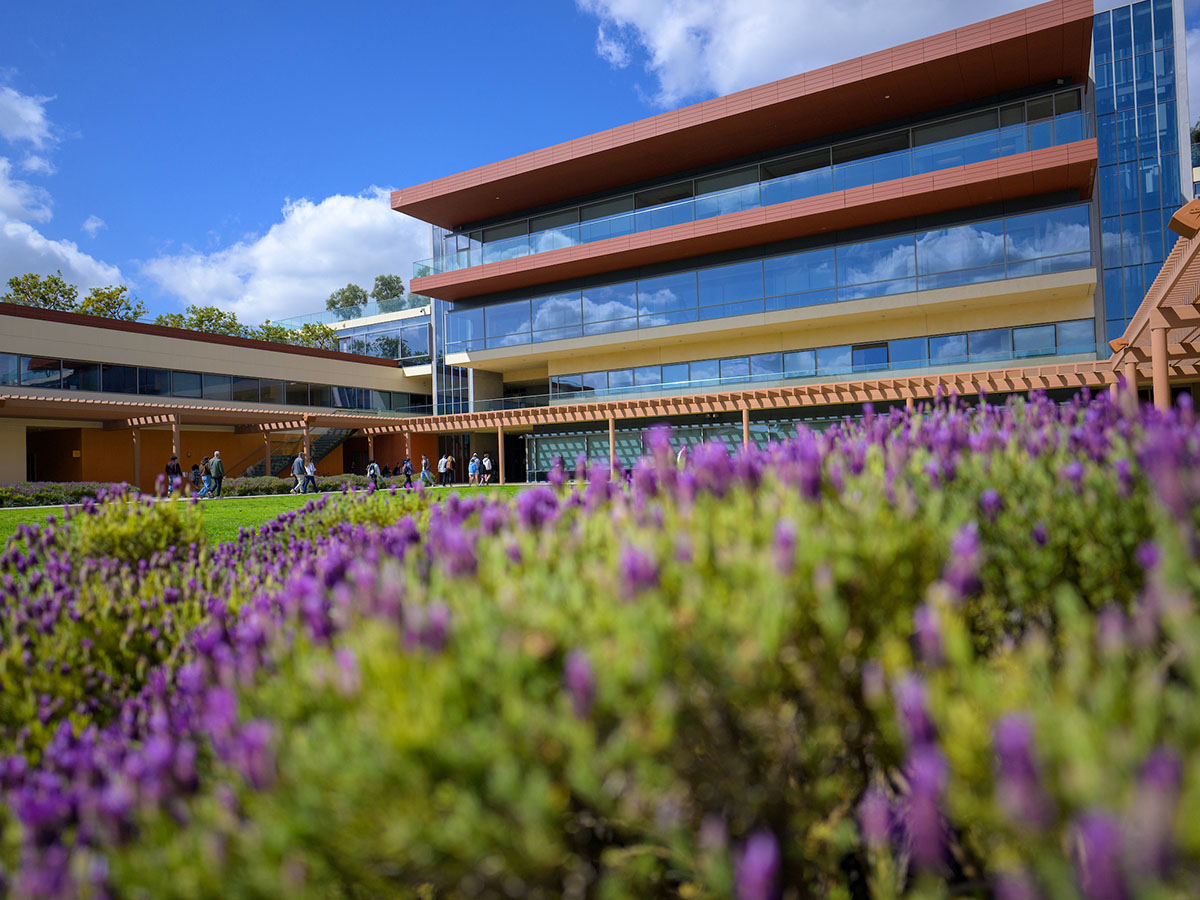 Low shot of purple flower field in front of Kravis Center.