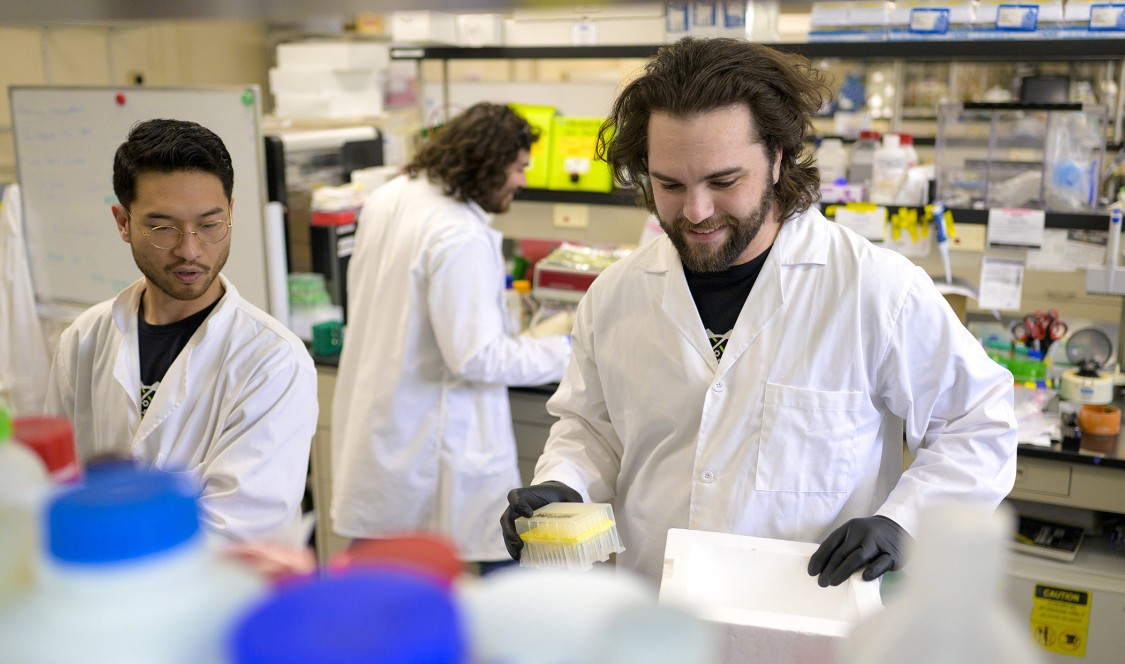 David Marash and team working in lab.