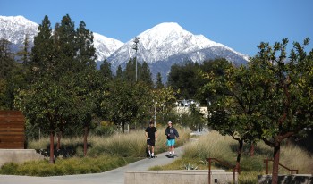 Up for the 1946 challenge: CMC community shares the love