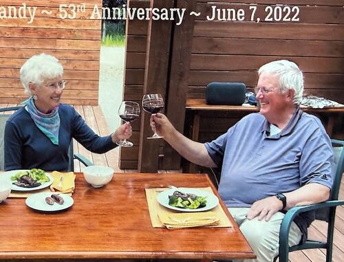 Woman and man sitting at table with food on plates and cheering to each other with wine in glasses.