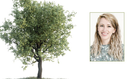 Photo composite of a tree, plus a headshot portrait of Maddie Hall '14 on white background