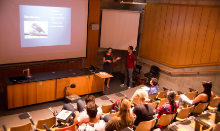 Student presenting project